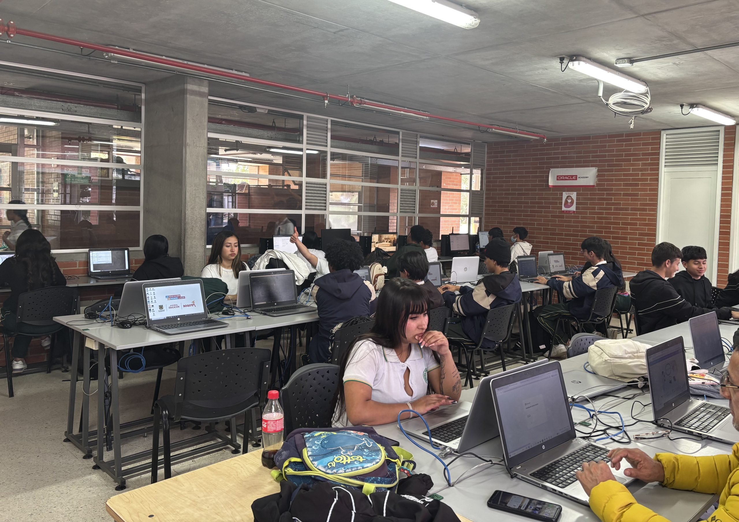 Programación y Desarrollo Web